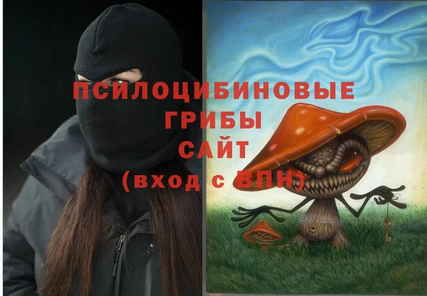 винт Армянск