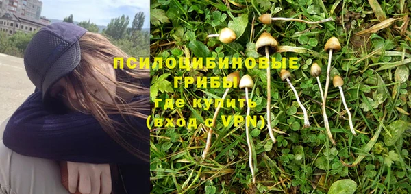 эйфоретик Аркадак