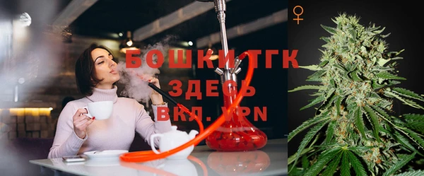 эйфоретик Аркадак